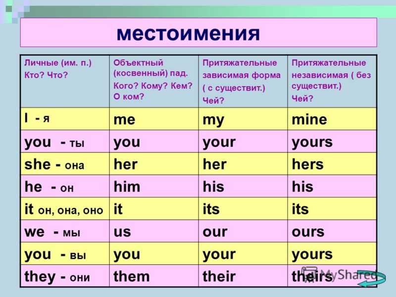 Притяжательные местоимения в английском