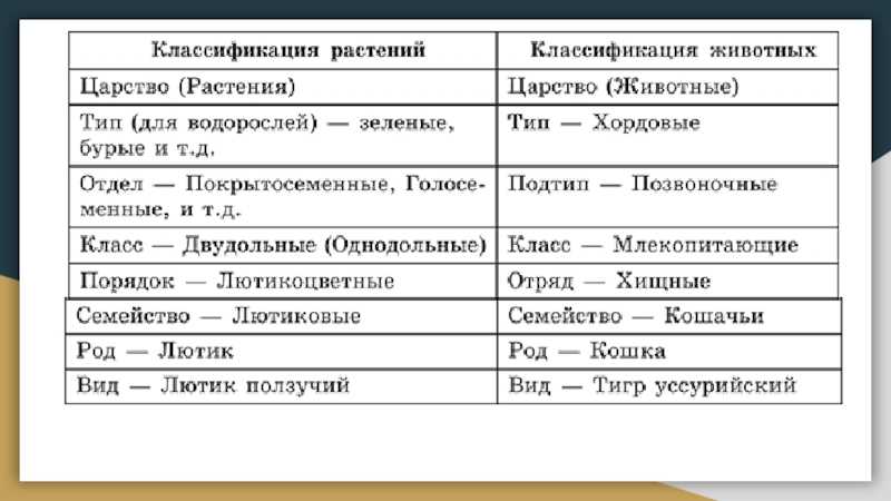 В чем разница между родом, видами, подвидами, разновидностями и культурными сортами?: советы, выращивание и уход