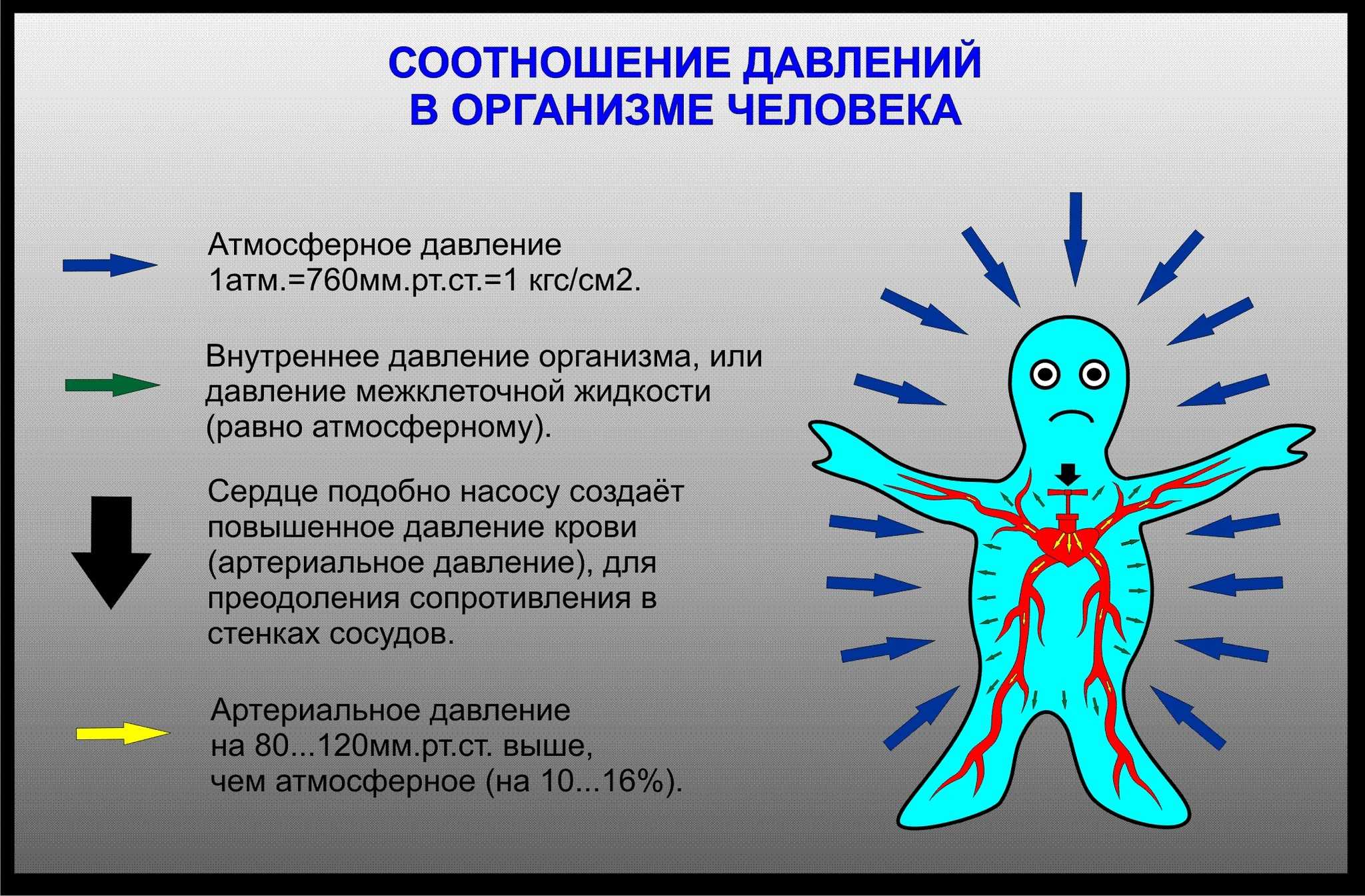 Как увеличить силу удара кулаком, упражнения для увеличения силы удара