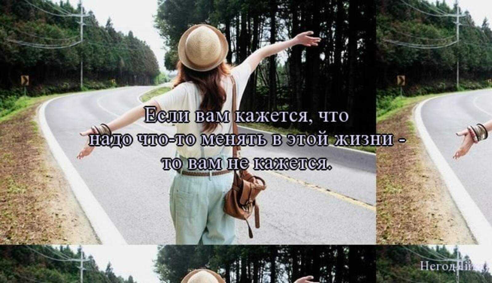 Как получить или отправить посылку dpd