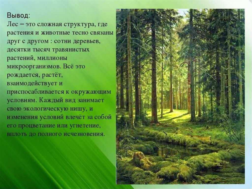 Виды словосочетаний (таблица с примерами)
