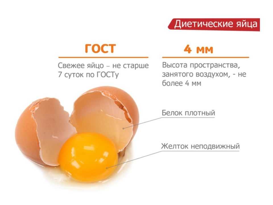 Какие яйца от кур самые вкусные