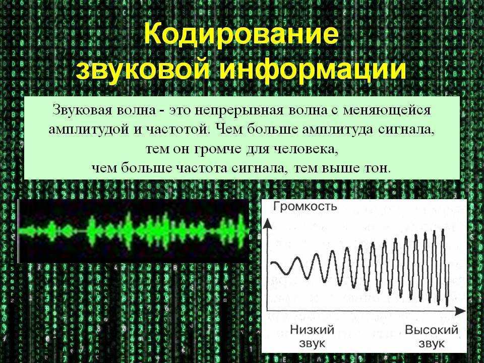Все особенности и виды акустических систем