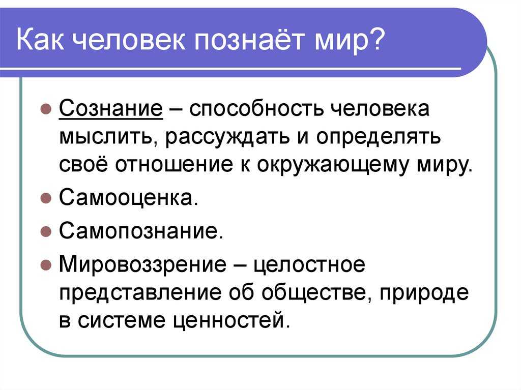 Способы познания окружающего мира: как и чем пользуется человек