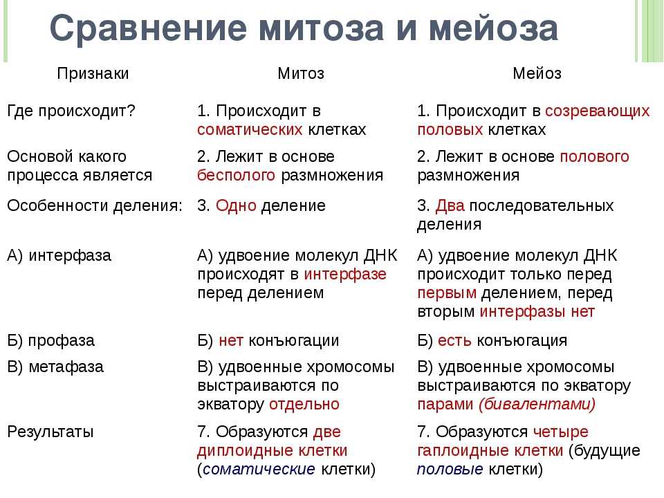 Описание киша из рассказа джека лондона. «сказание о кише» главные герои. «сказание о мише» характеристика киша