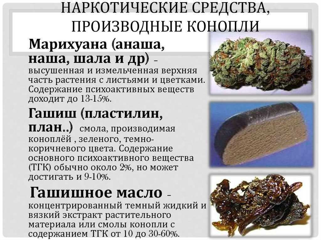 Все о каннабиноидной наркомании