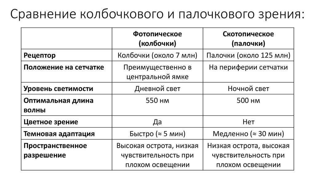 Что такое зно в россии: основные моменты и правила проведения