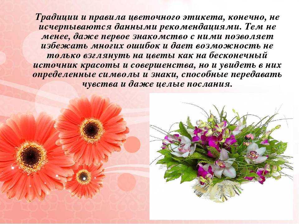 Комнатные цветы в подарок: что они символизируют и говорят получателю на языке цветов