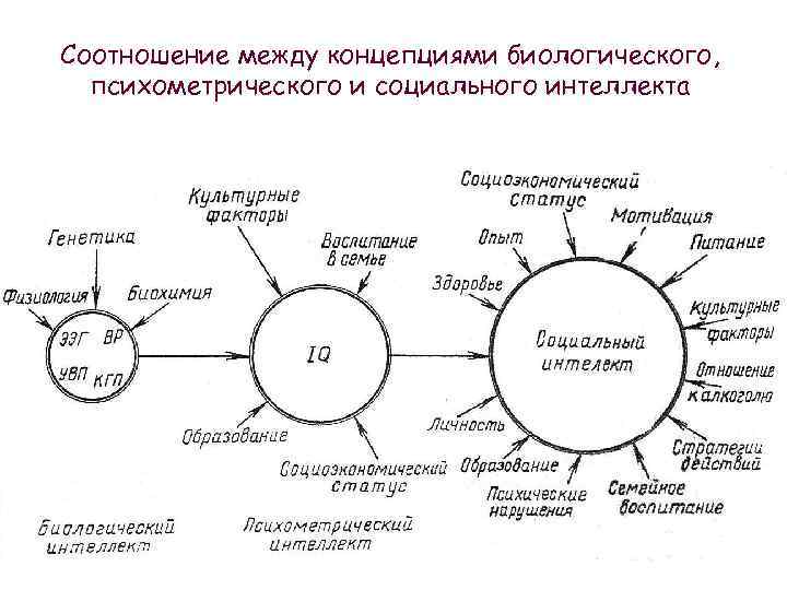 Почему нужен личностный рост и что он из себя представляет?