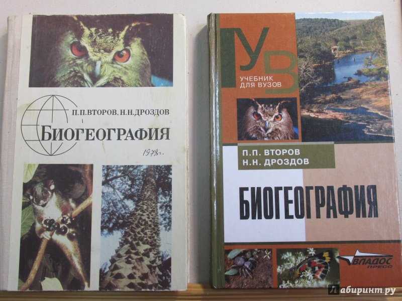 В чем разница между сычом и совой? - справочник по pc и гаджетам