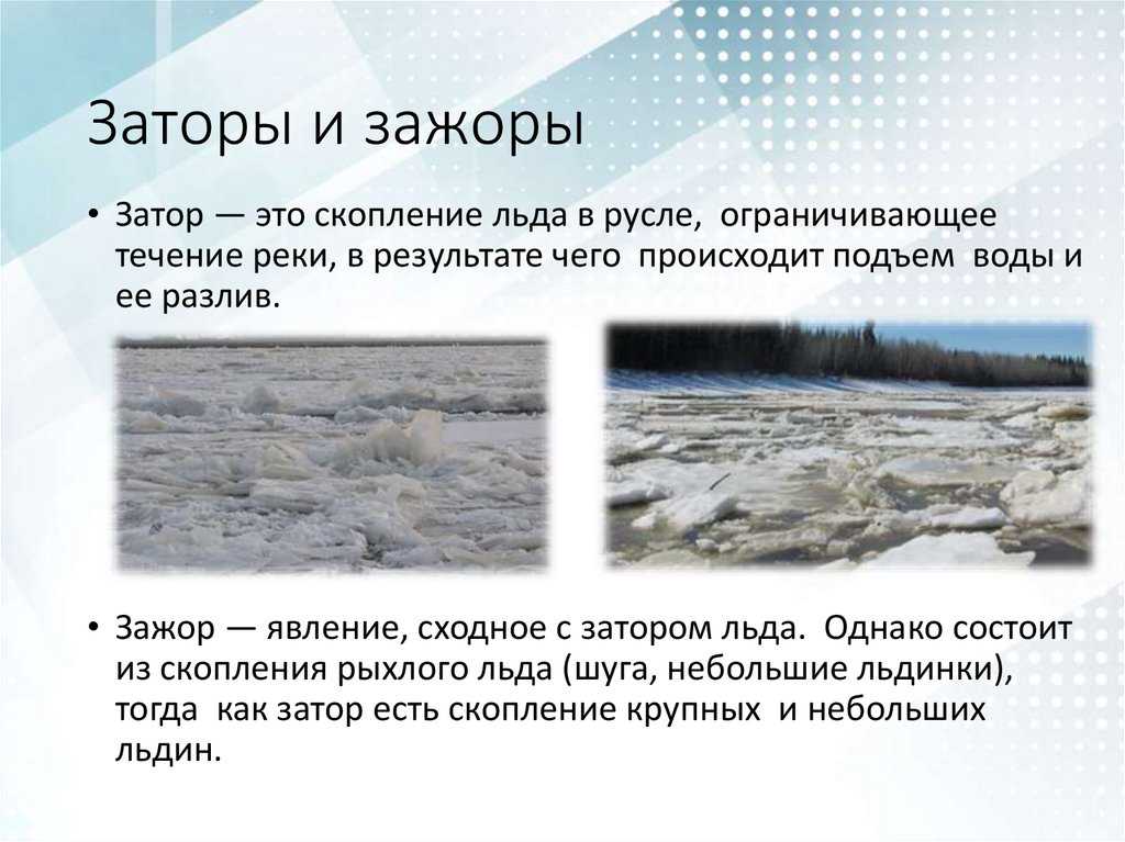 Непереваренная пища в кале: нормальное явление или повод для беспокойства?