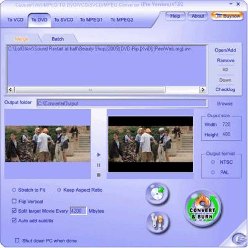 Understanding video dvd formats and vcd and svcd