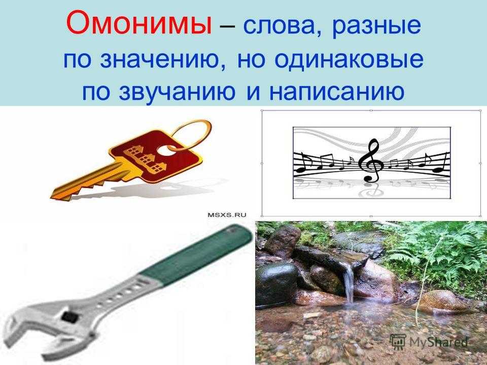 Как распознать корову и быка: основные признаки различия