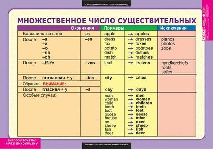 Множественное число существительных в английском языке – исключения в таблице
