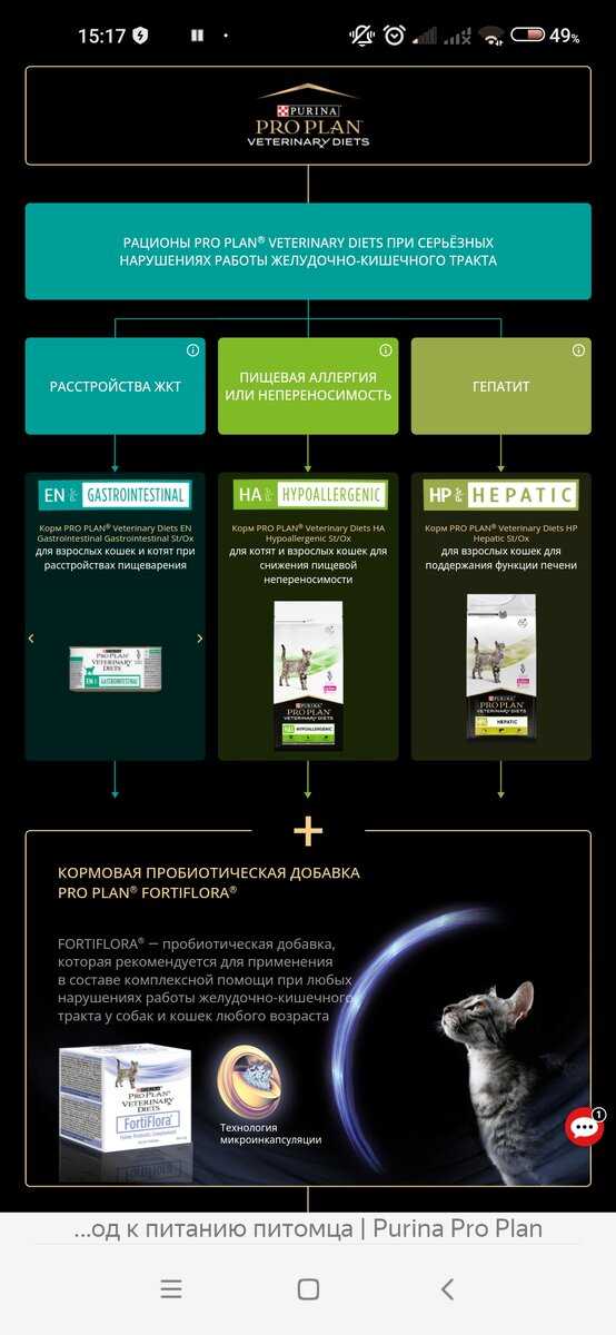 Урок 1. правильный режим дня