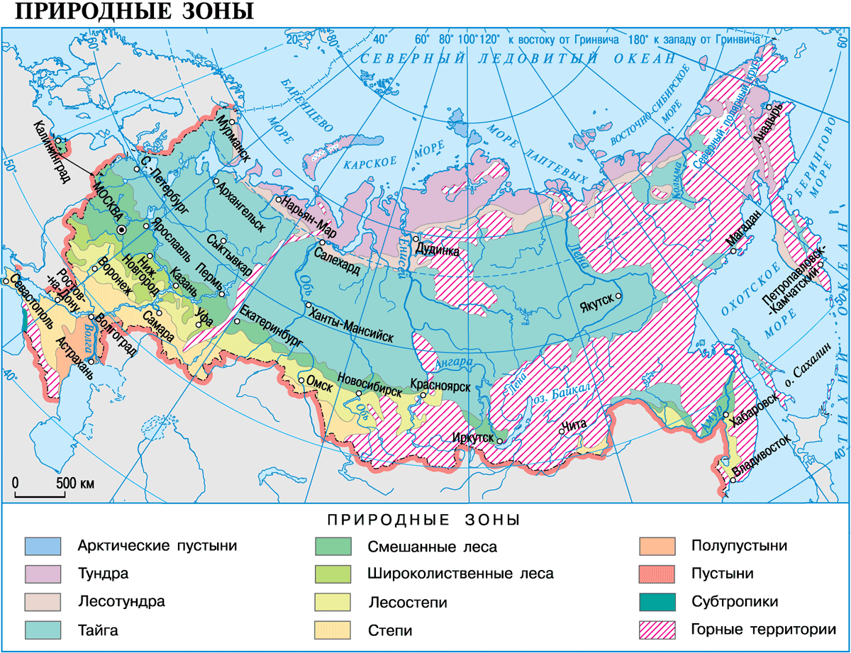 Подзоны лесной зоны - путеводитель