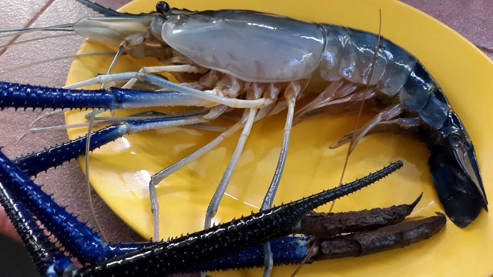 Креветки: мясо или рыба?