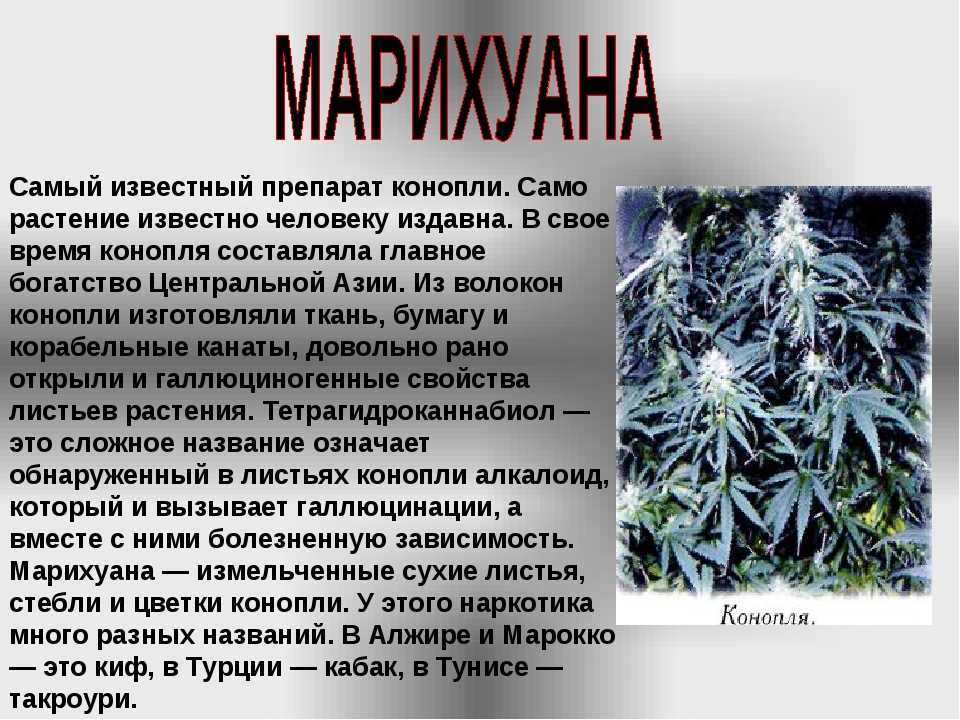 Мэри джейн: расшифровка жаргонного термина