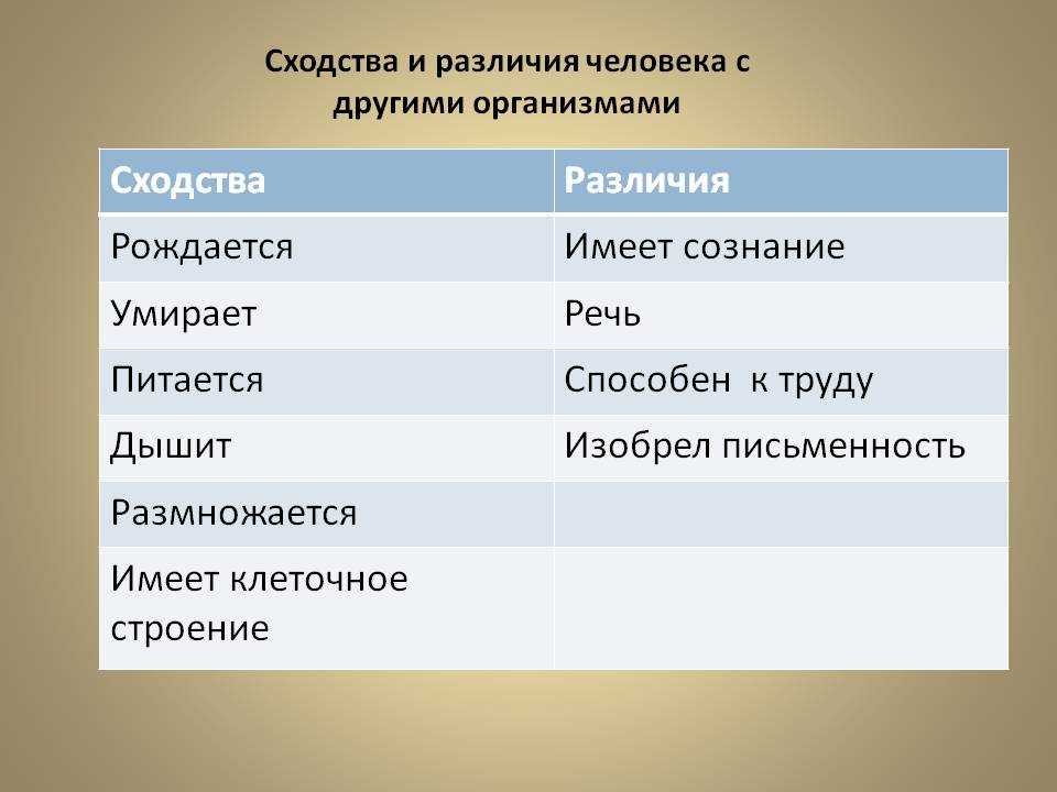 Различия между именами алена и елена