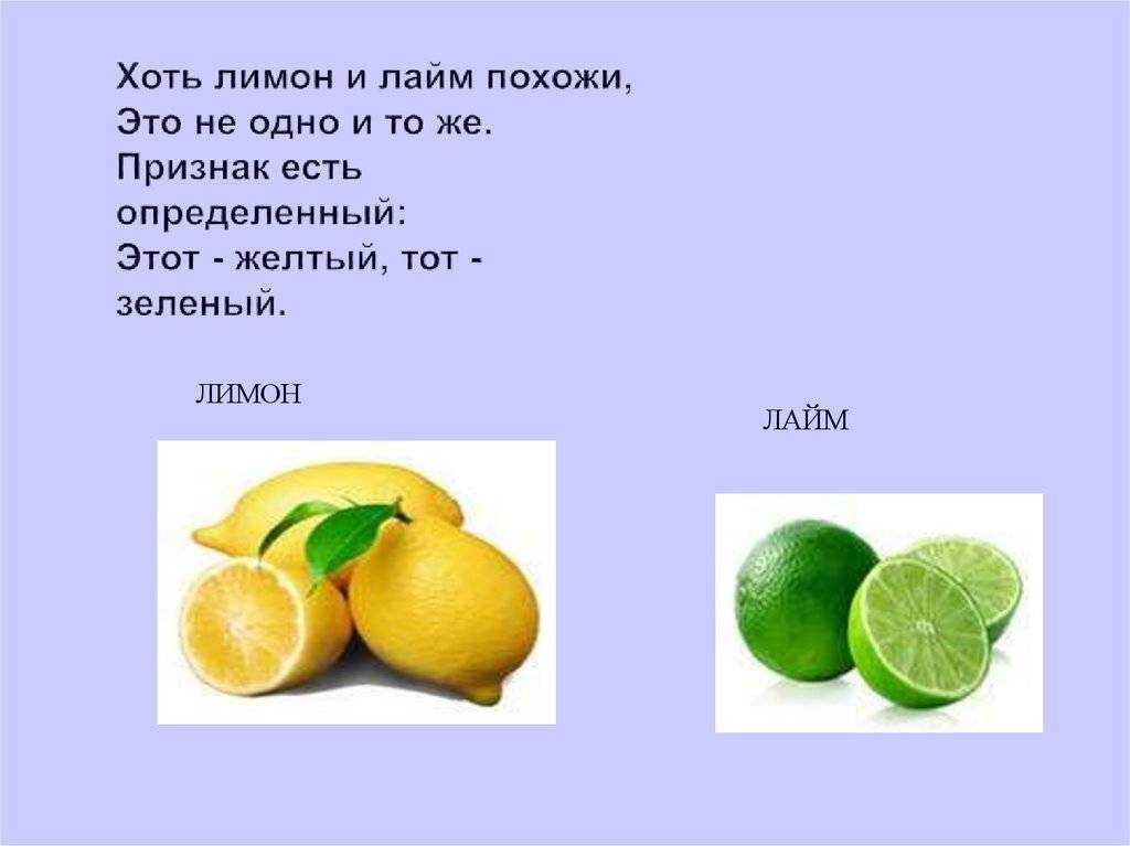 Систематика цитрусовых