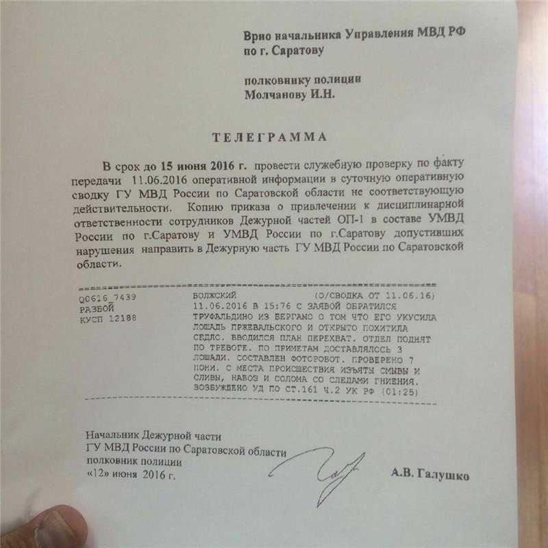 Различия между врио ио и врид: понятия и особенности