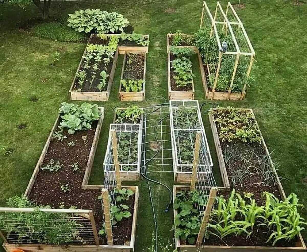 🌿 что делать на грядках после сбора урожая: 3 важных правила для поддержания плодородности почвы selo.guru — интернет портал о сельском хозяйстве