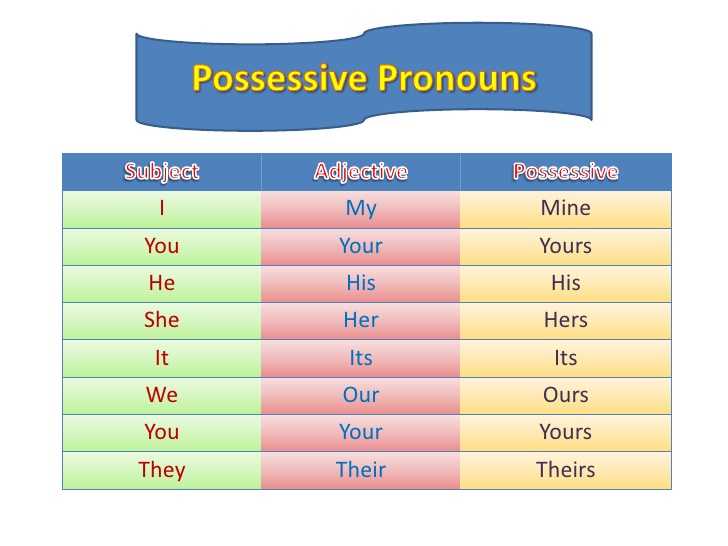 Притяжательные (прилагательные) местоимения в английском зыке - possessive pronouns