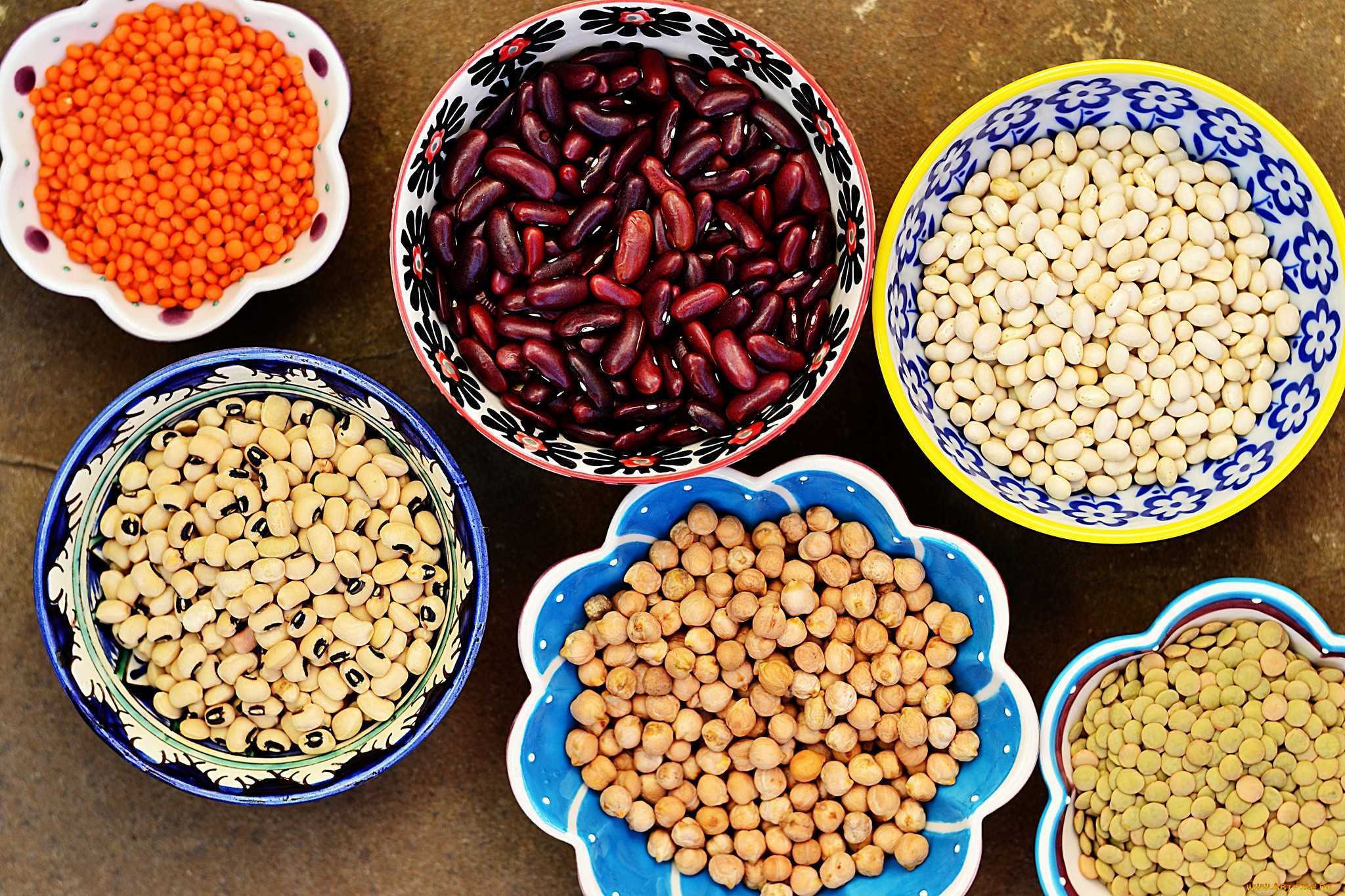 Список продуктов, содержих много белка для мясоедов и вегетарианцев