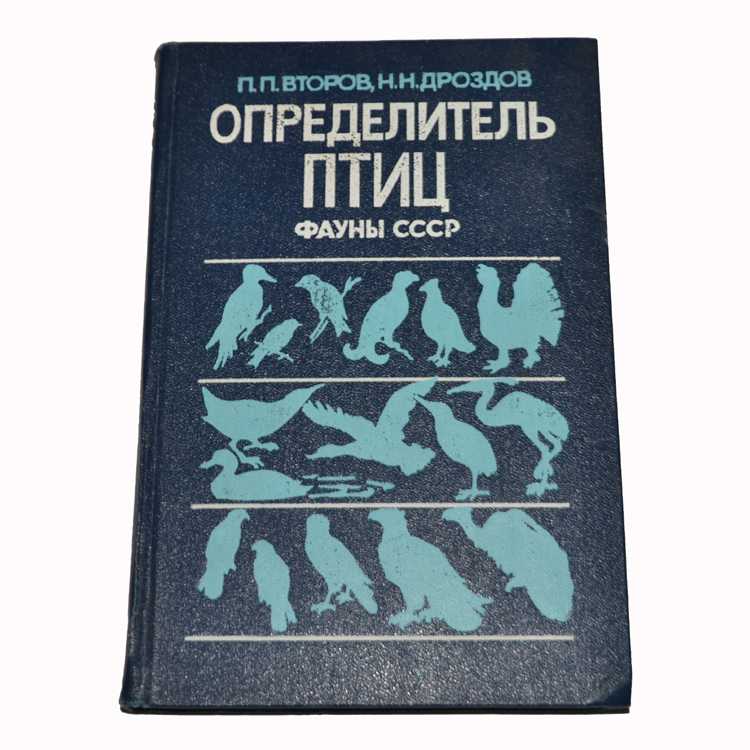 Сычи и совы, будучи членами семейства Strigiformes, являются птицами ночного леса и охотятся на грызунов, змей и других животных Но хотя эти два вида на