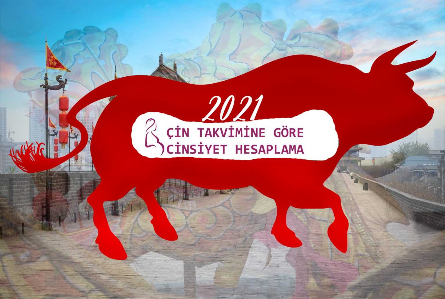 Uşağın cinsiyyətini çin təqvimi ilə hesablayın! - 95% doğru