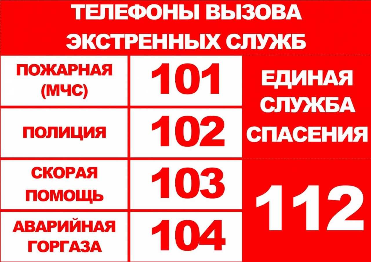 Телефоны экстренных служб: куда и как звонить при различных чрезвычайных ситуациях с городского или мобильного телефона