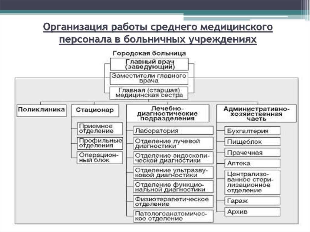 Гбуз и гауз: основные отличия