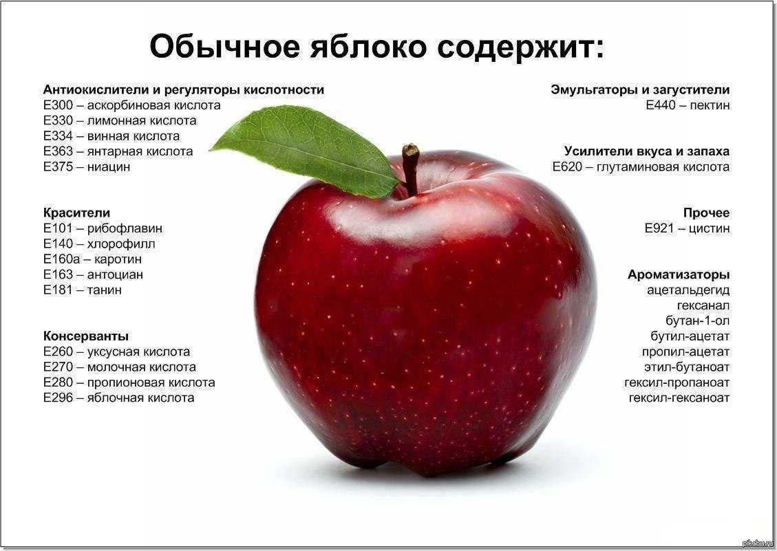 На каких ветках растут яблоки