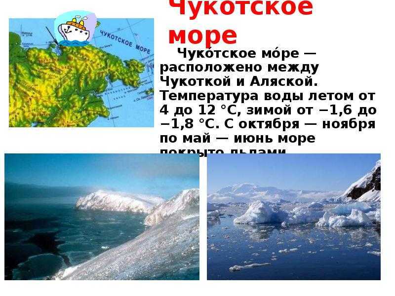 Интересные факты о чукотском море | vivareit