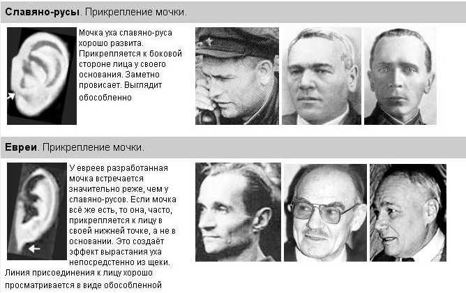 Как выглядят евреи, внешность женщин и мужчин фото, отличительные характерные черты еврейской национальности