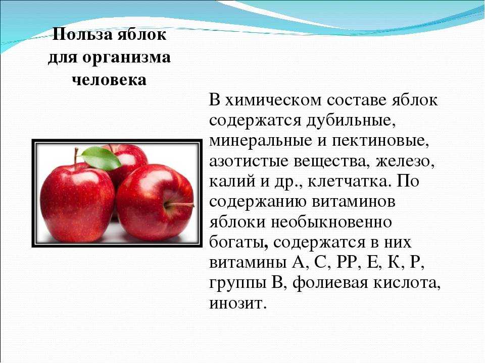 Глава i. все о яблоках. все об обычных яблоках