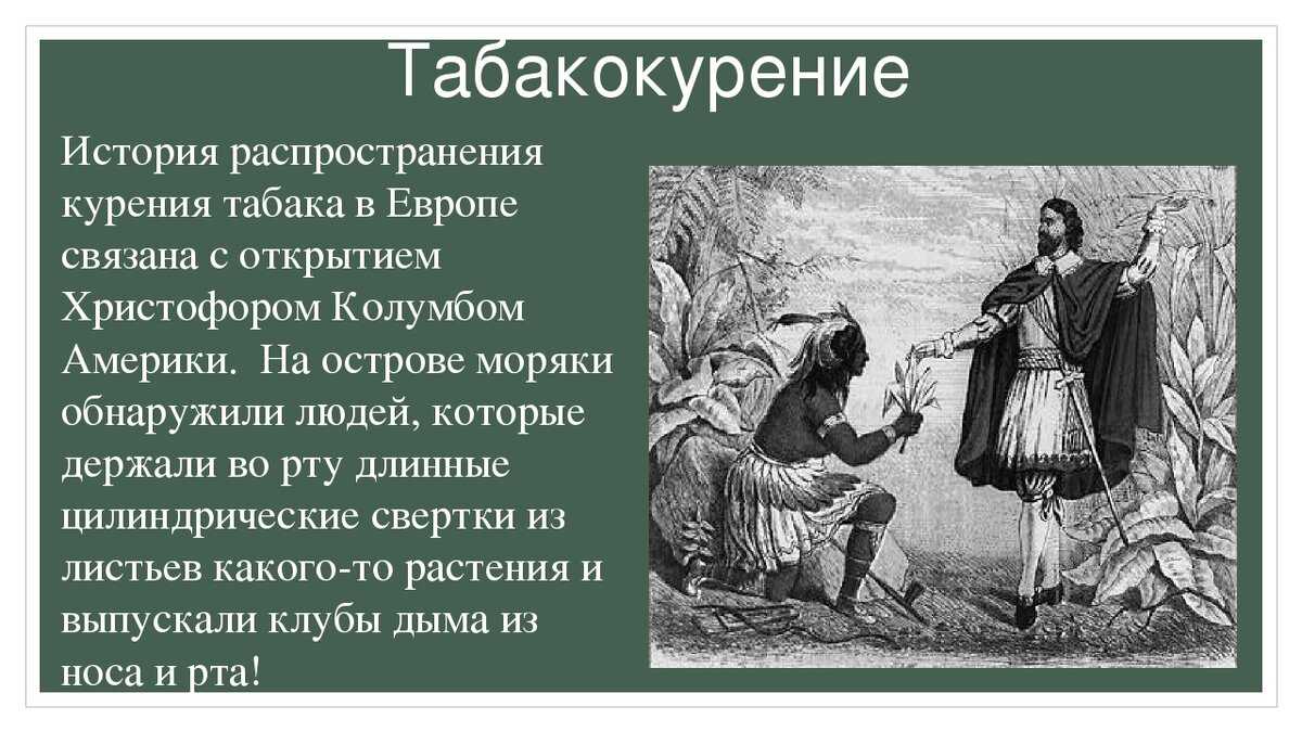 Что такое снюс и чем он опасен? наркотик или нет? как принимается и как действует?