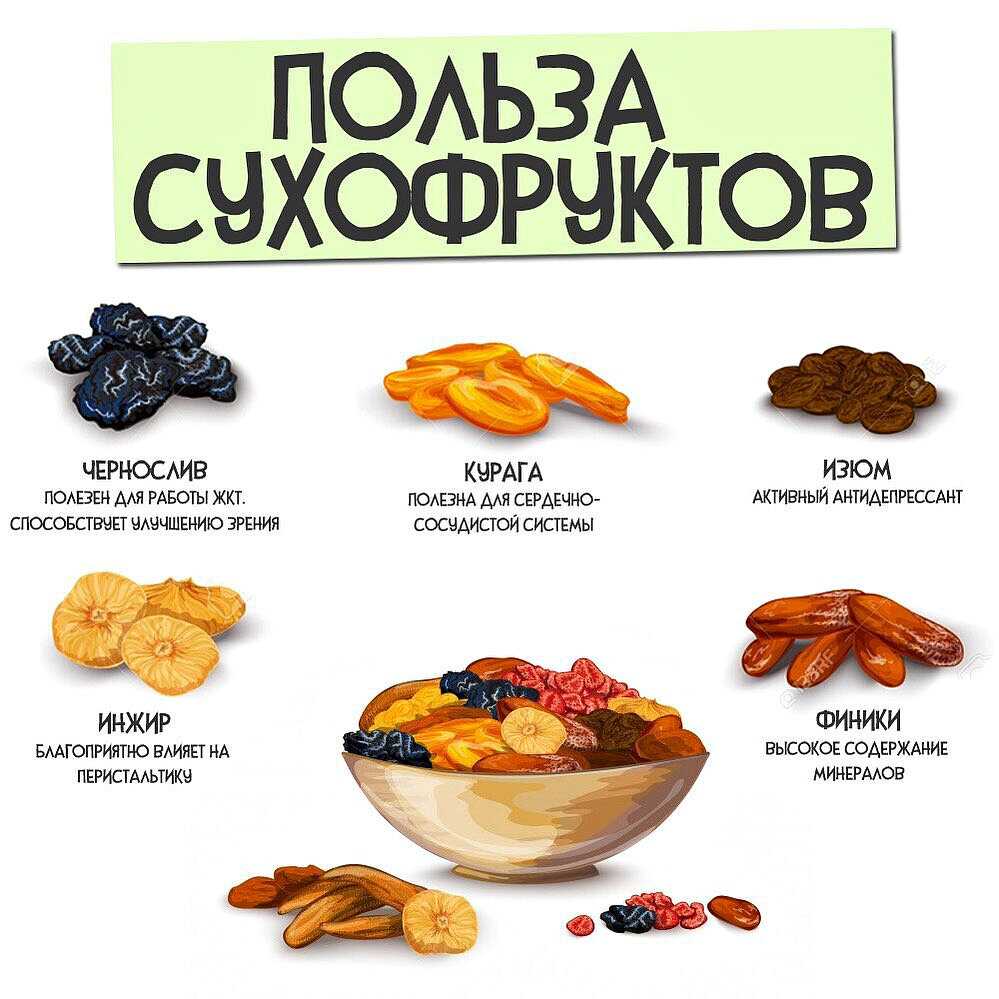 Сухофрукты: полезные свойства, как выбирать и хранить, советы