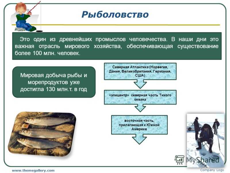Карта районов рыболовства