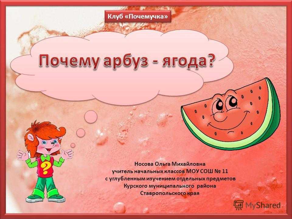 Арбуз - это фрукт или ягода, овощ или тыквина, как правильно называть его плоды