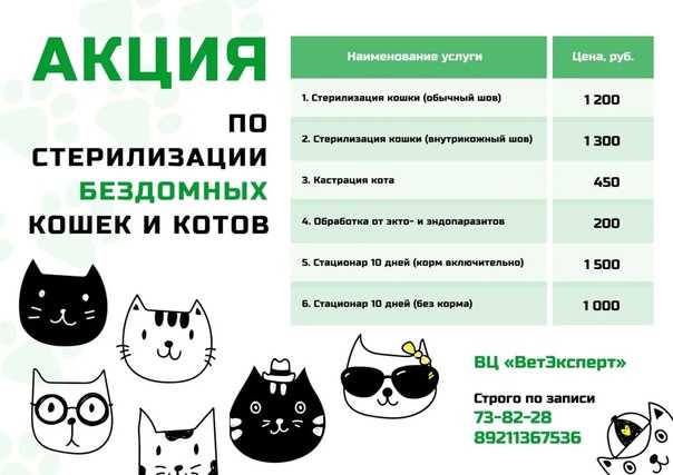 Обязательная стерилизация домашних животных, регулирование численности бездомных животных, их маркирование и учет: новые предложения