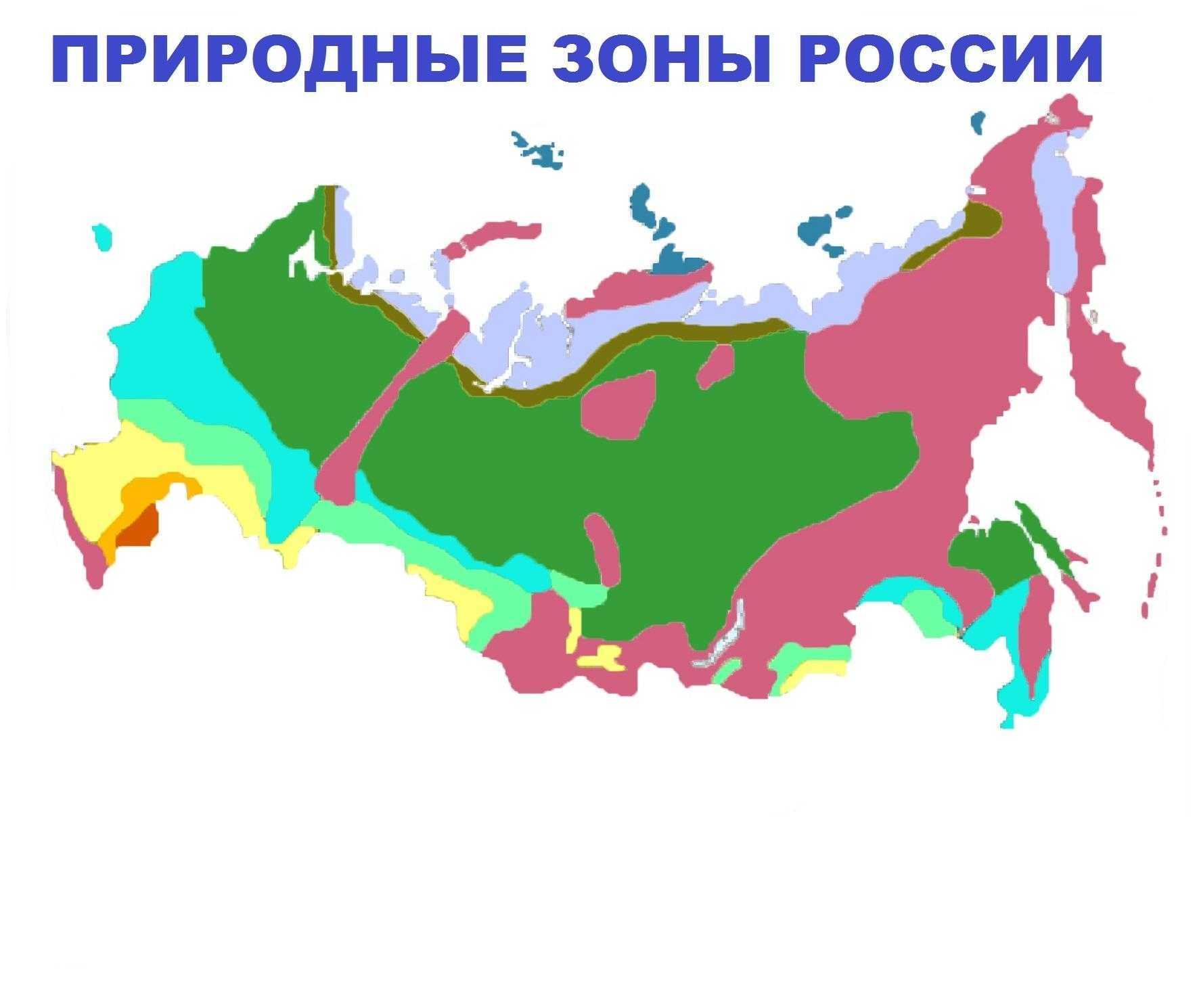 Одним из ключевых понятий в устройстве почвы являются зона и подзона Хотя многие считают, что эти термины суть одно и то же, на самом деле между ними