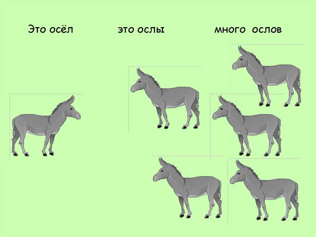 Слик и полуслик для велосипеда: разница и особенности | название сайта