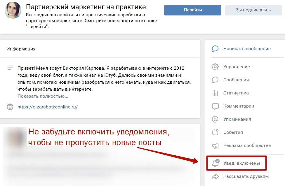 Как правильно подать заявку на участие в программе "лупер в лайке 2023" и увеличить свои шансы на успех