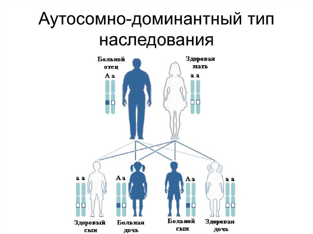 В россии добытчики, на западе помощники: 5 отличий наших пап от иностранных | parents