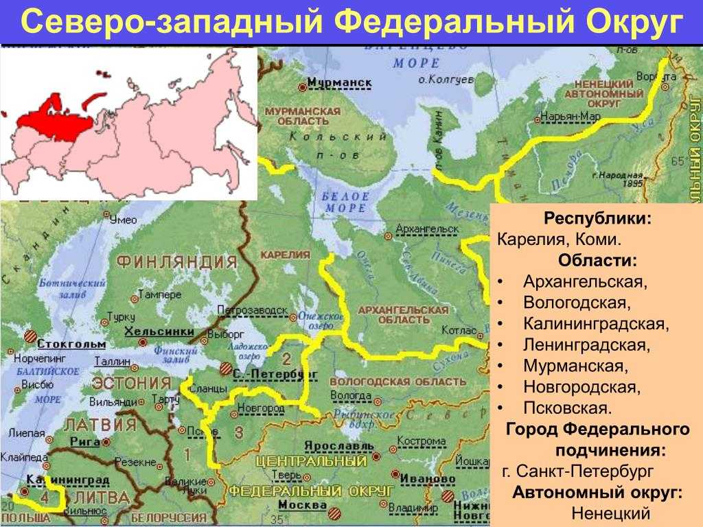 Длина россии на 2023 год: статистика и географические особенности страны