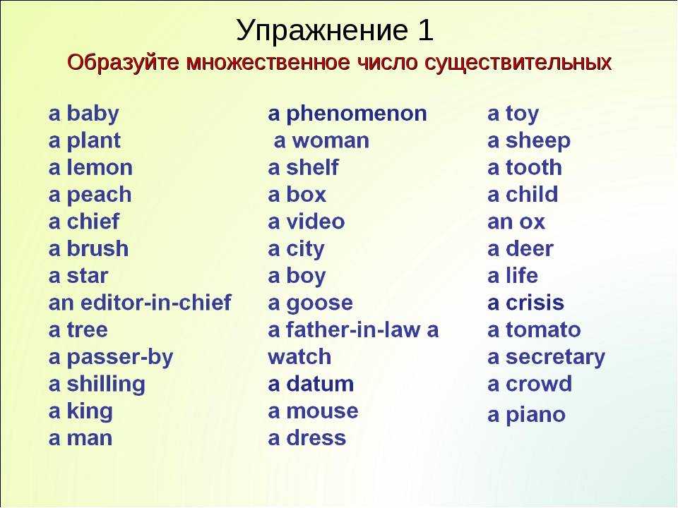 Множественное число существительных в английском языке