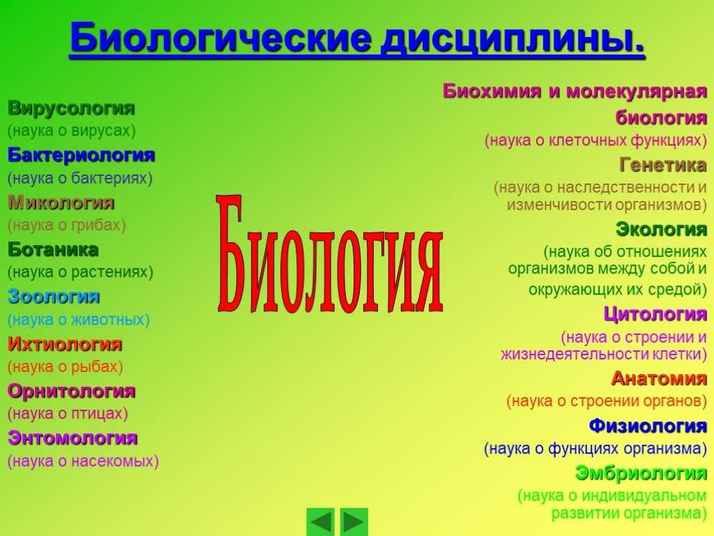 11 новейших областей науки, о которых важно знать