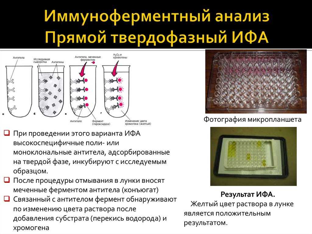 Офс.1.7.2.0033.15 метод иммуноферментного анализа – фармакопея.рф