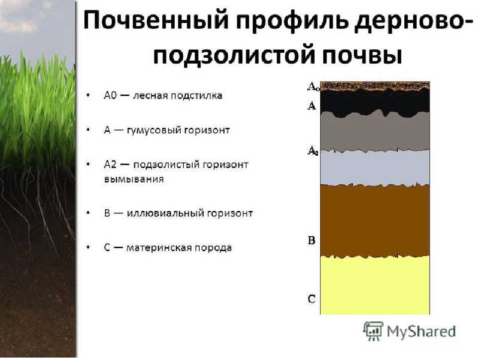 Что такое земля и почва: основные понятия и различия